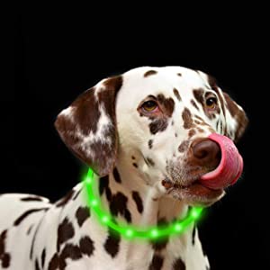 Anicoll LED Collar for Dogs and Cats Green