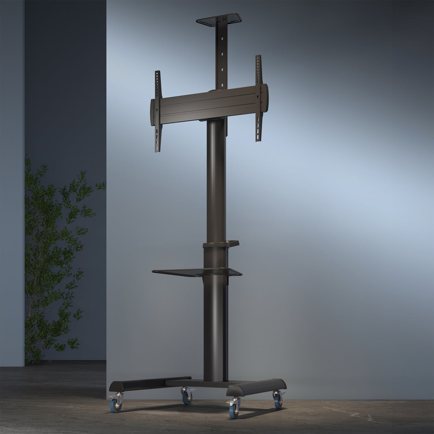 Mobile floor stand Sbox FS-446-2 37"-70"