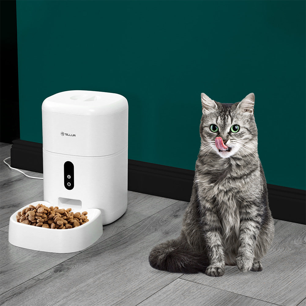 Tellur Smart WiFi Pet Feeder, UltraHD Camera, 4L white