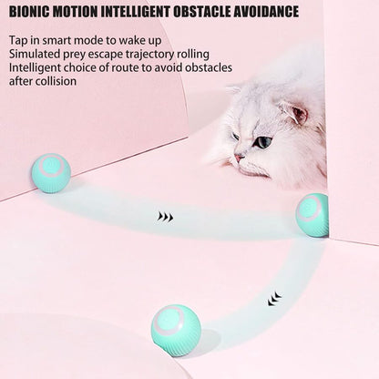 Interactive LED cat toy with USB charging and 360° rotation