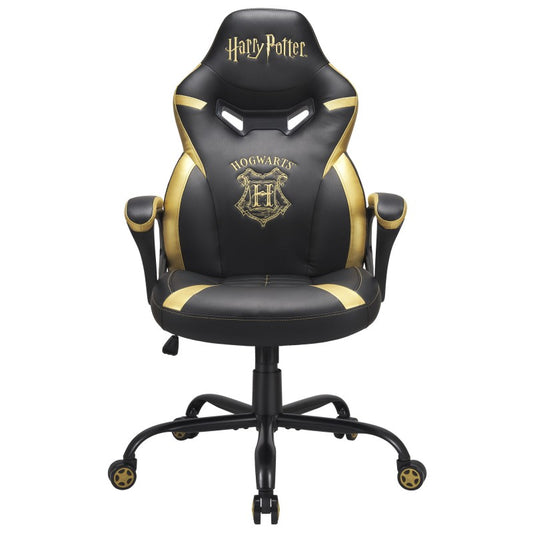 Harry Potter Ergonomic Gaming Chair for Children and Adolescents