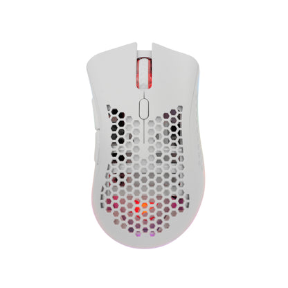 Gaming Mouse with 6 Buttons and RGB Lighting - White Shark WGM-5012