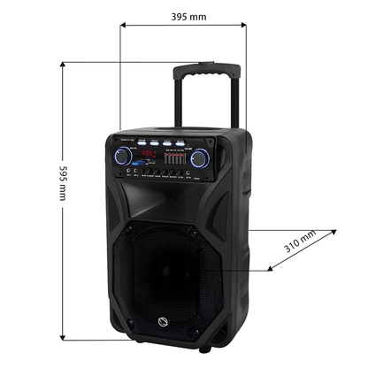 Bluetooth Skaļrunis Manta SPK5021PRO, 80W, Bluetooth 5.0, FM Radio