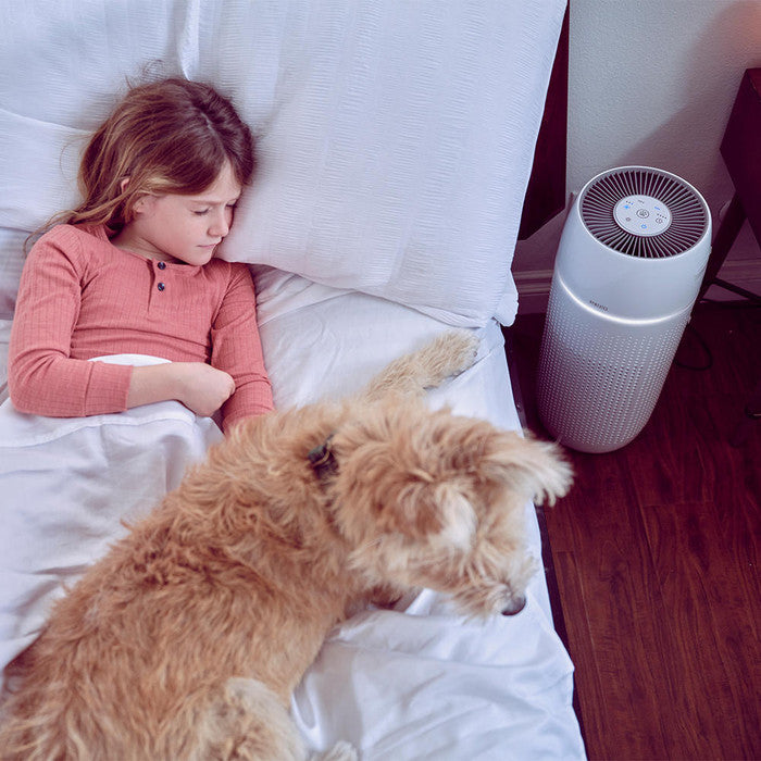 Air purifier PetPlus 5-in-1 with True HEPA filter - HoMedics