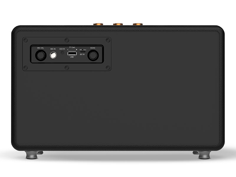 Bluetooth speaker 60W with FM radio and USB-C - Tracer 47249