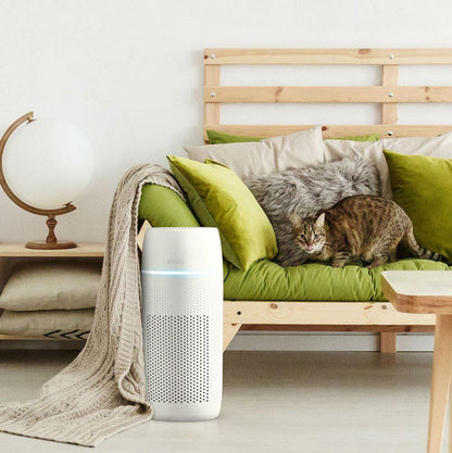 Air purifier PetPlus 5-in-1 with True HEPA filter - HoMedics