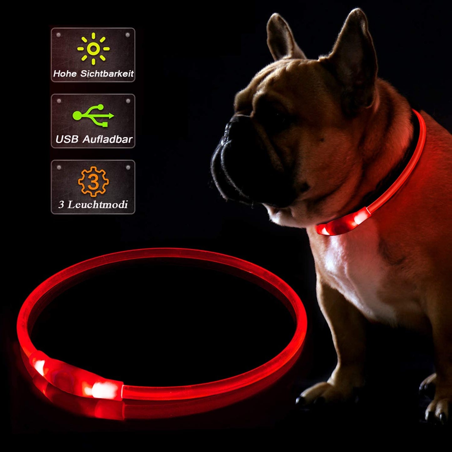 LED collar for dogs and cats, red, KABB