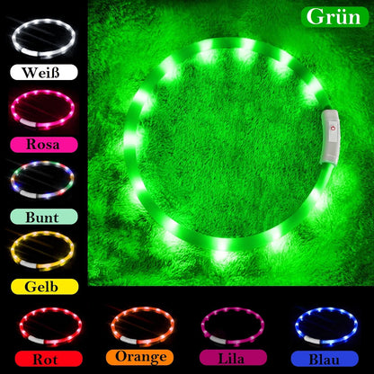 LED Collar for pets Green Anicoll