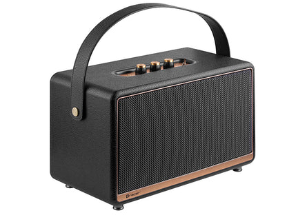 Bluetooth speaker 60W with FM radio and USB-C - Tracer 47249