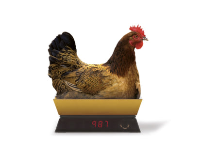 ViceVersa Kitchen Scale 5kg gold 12982