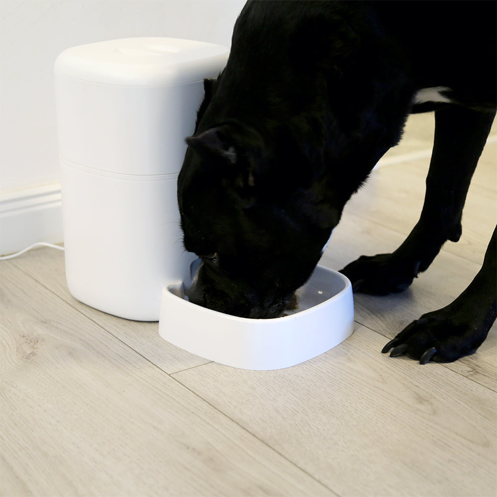 Smart pet feeder with UltraHD camera, Tellur 4L white