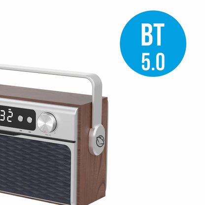 Bluetooth FM Radio ar Modinātāju - Manta RDI917PRO Ibiza