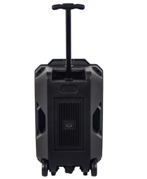 Bluetooth-динамик Denver TSP-120 — 8 дюймов, USB/microSD/AUX, светодиодный дисплей и подсветка, 100 Вт
