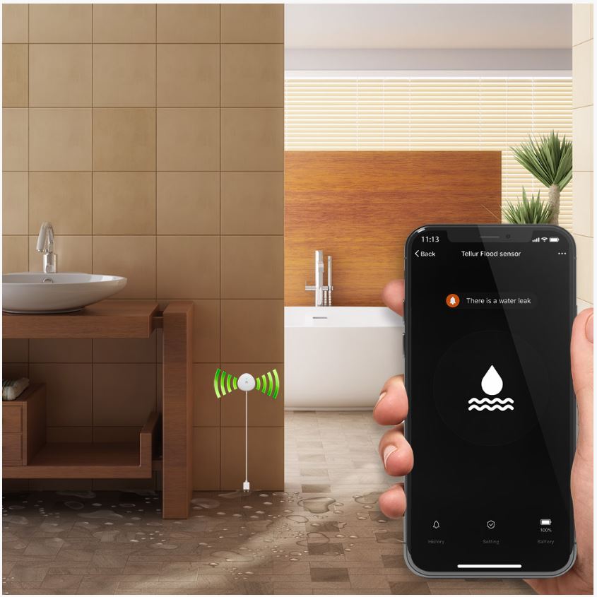 Tellur WiFi Flood Sensor, AAA, White