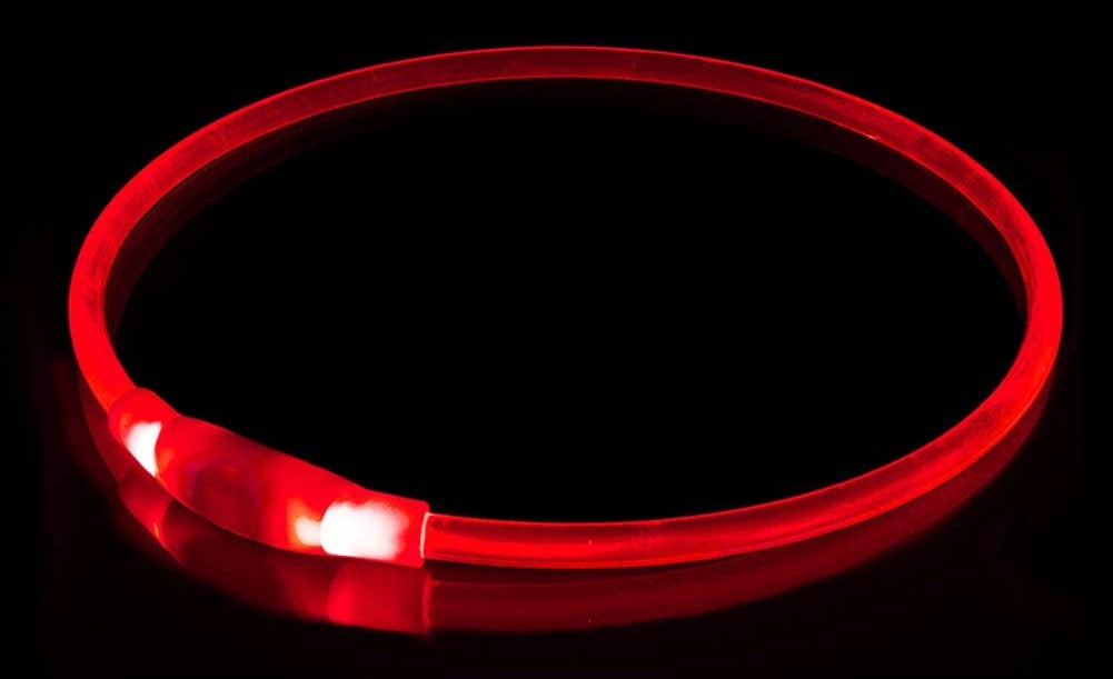 LED collar for dogs and cats, red, KABB