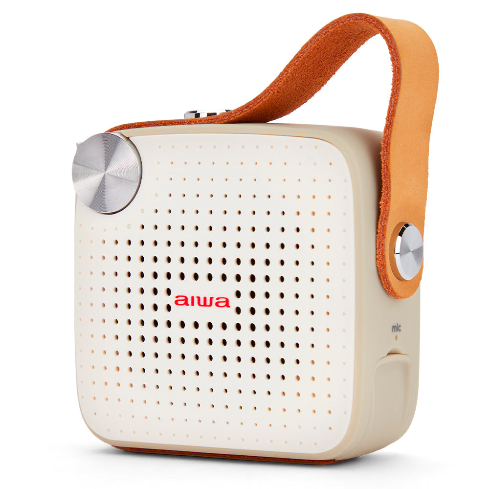 Portable Bluetooth Speaker, Waterproof, Dustproof and Shockproof, Aiwa BS-100GY White/Grey