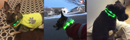 LED Collar for pets Green Anicoll