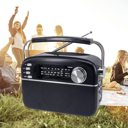 Portable Bluetooth radio with MP3 playback, Manta RDI918B