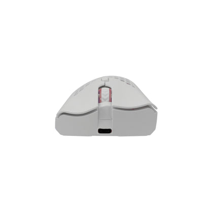 Gaming Mouse with 6 Buttons and RGB Lighting - White Shark WGM-5012